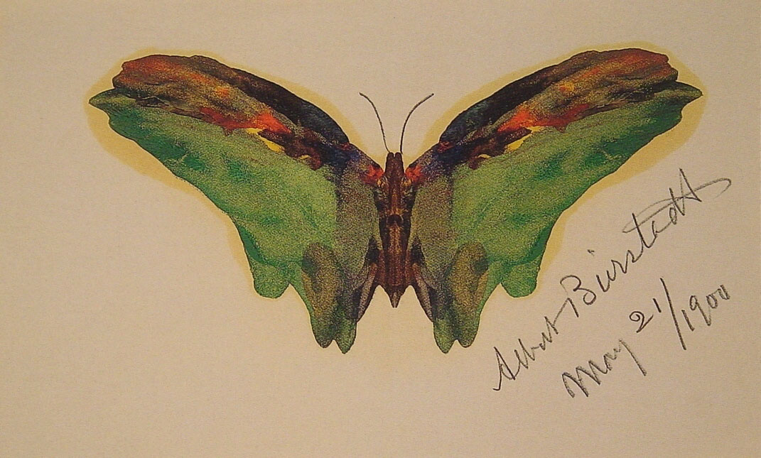Альберт Бирштадт. Бабочка с зелеными крыльями