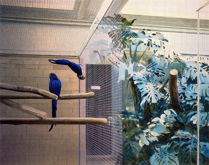Жиль Эло. Синие птицы