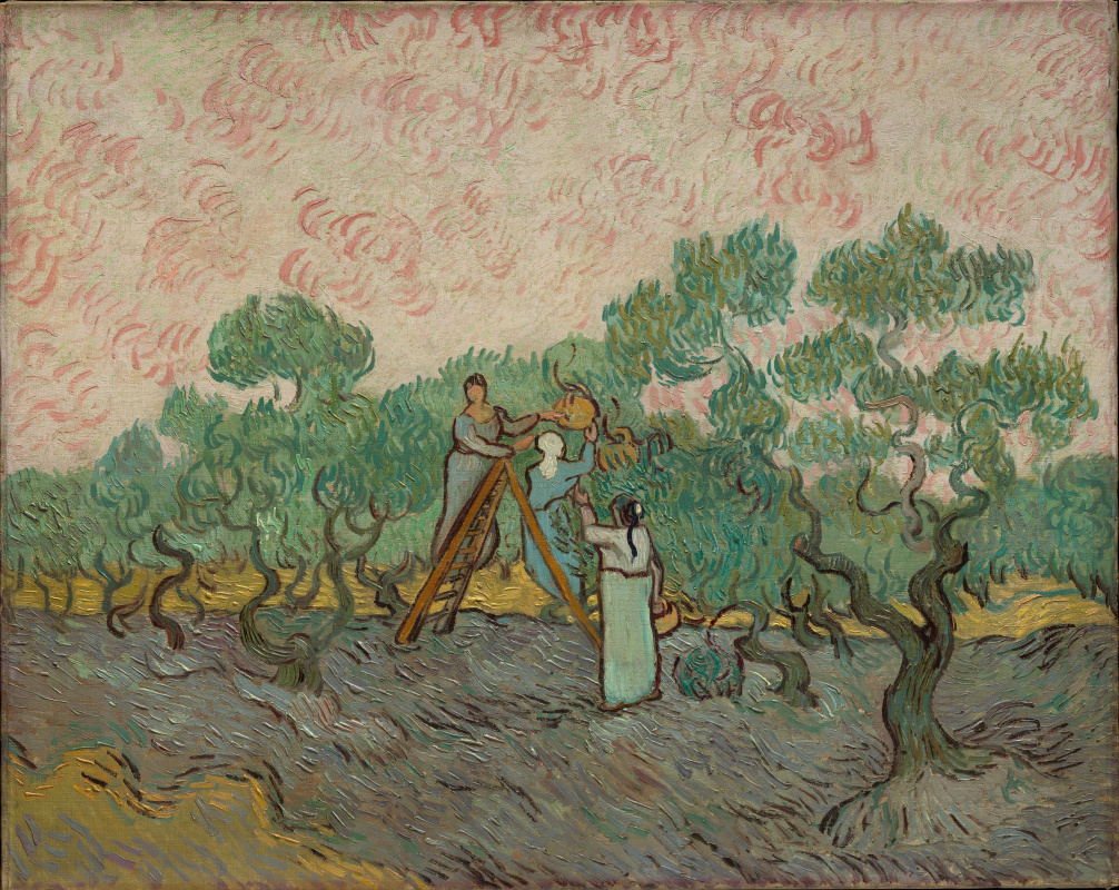 Винсент Ван Гог. Женщины, собирающие оливки