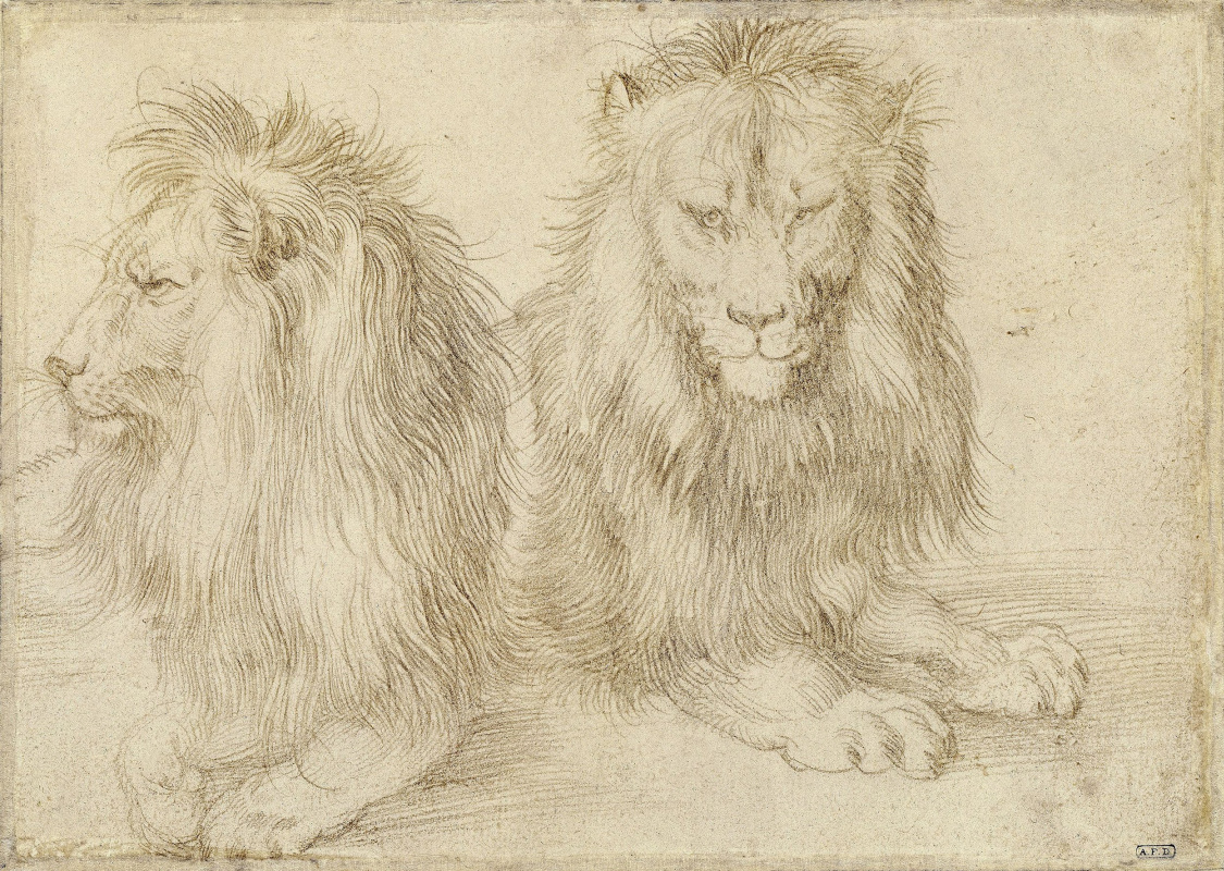 Альбрехт Дюрер. Два сидящих льва