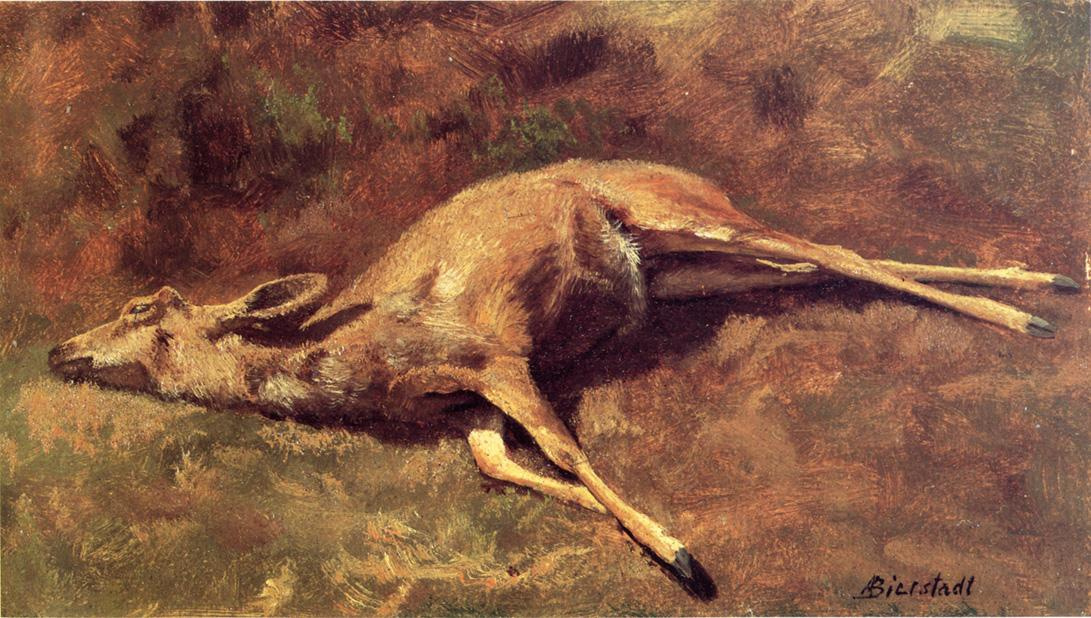 Лесной житель. Рисунок мертвого оленя