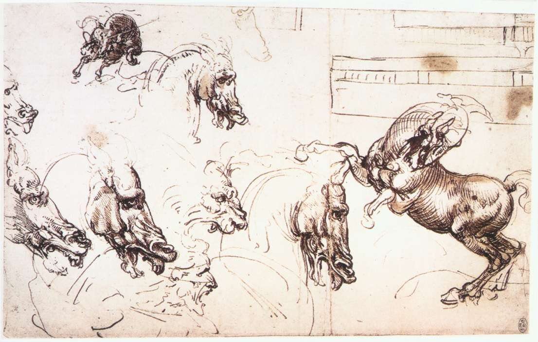 Леонардо да Винчи. Зарисовки лошадей для "Битвы при Ангиари"