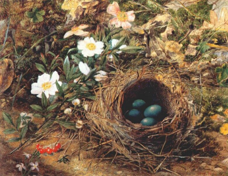 Джон Уильям Хилл. Птичье гнездо и собачьи розы