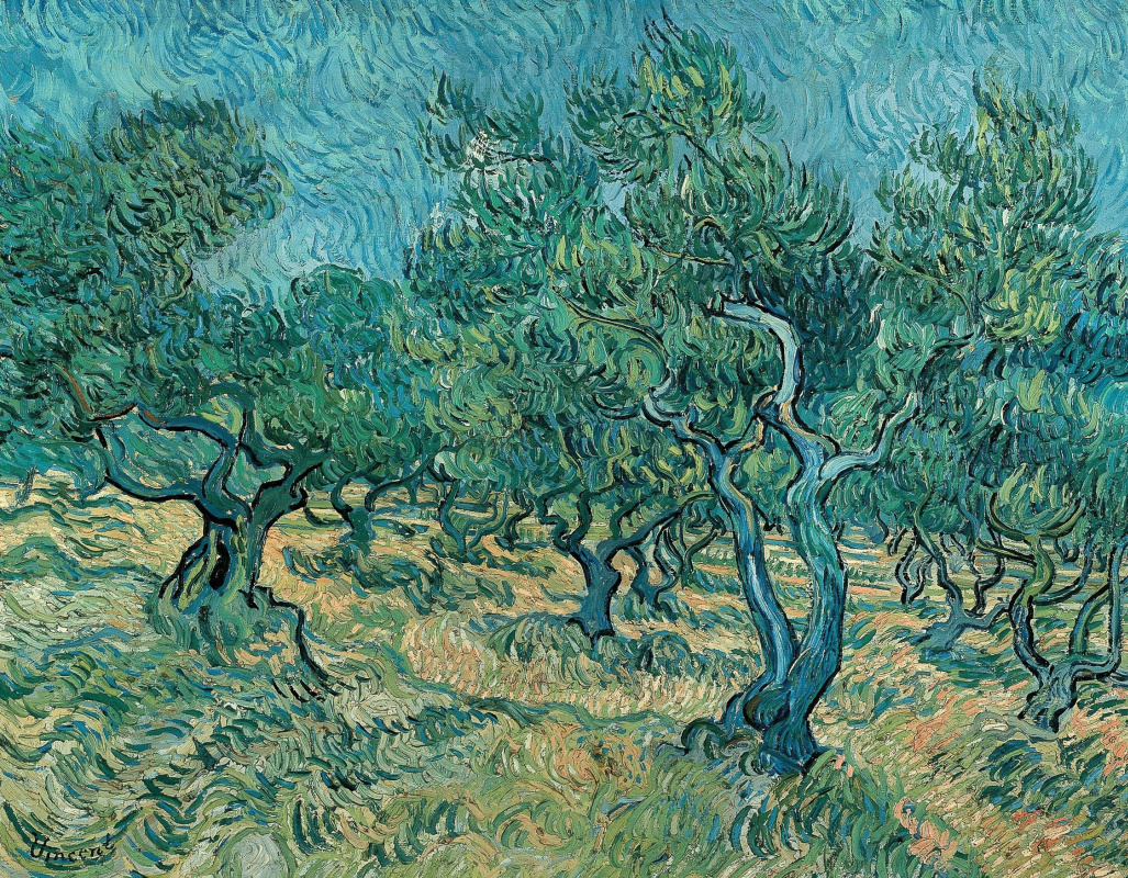 Винсент Ван Гог. Оливковые деревья