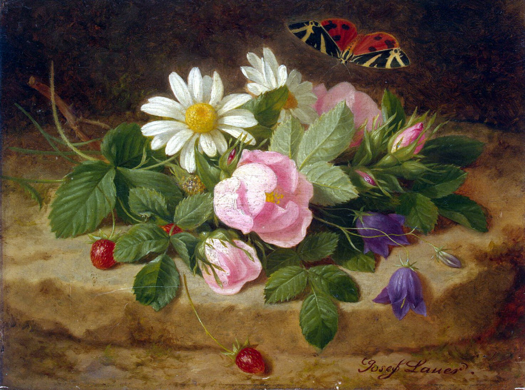 Иозеф Лаунер. Букет цветов с бабочкой