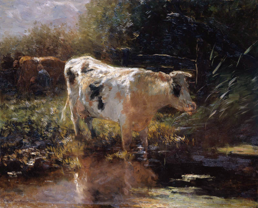 Виллем Марис. Корова на краю воды