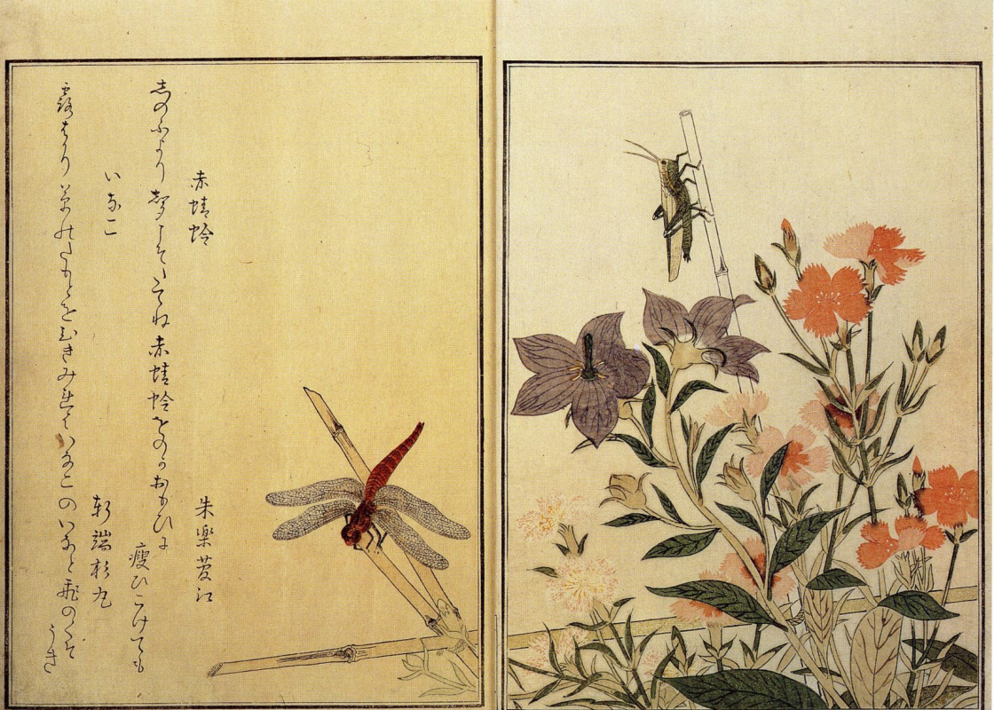 Китагава Утамаро. Иллюстрация из книги о насекомых