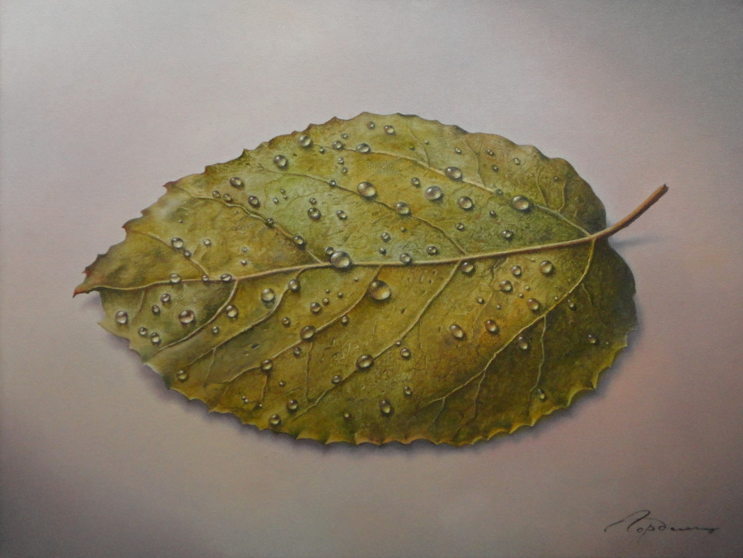 Evgeni (Евгений) Яковлевич Gordiets (Гордиец). Leaf with Water Drops