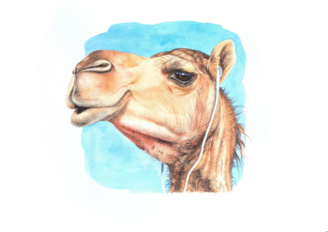 Алексей Фомин. Humanimals. The camel
