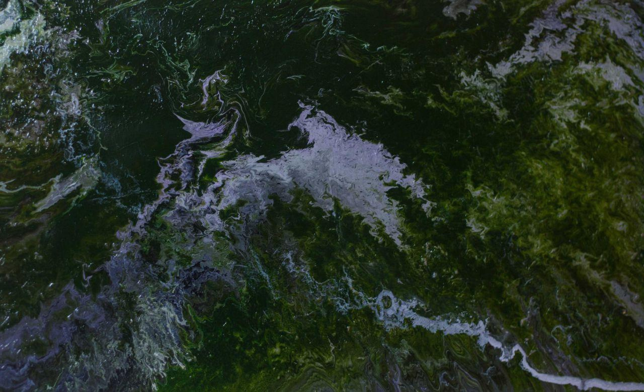 Алла Стручаева. Картина «Туманность на Земле»