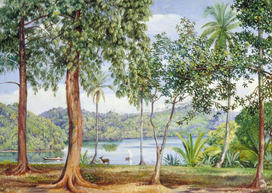 Марианна Норт. Речной пейзаж, вид из Калутара, Цейлон