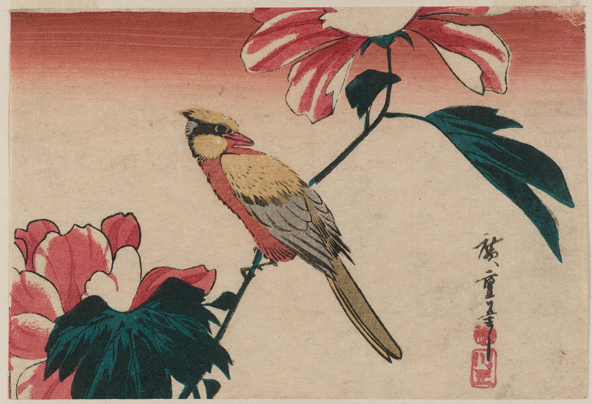 Утагава Хиросигэ. Иволга и пион. Серия "Птицы и цветы"