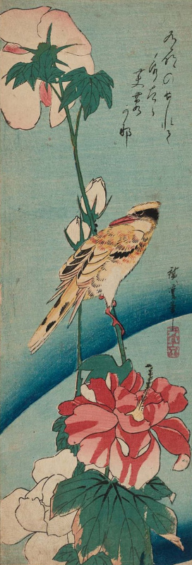 Утагава Хиросигэ. Черноголовая иволга и цветок гибискуса. Серия "Птицы и цветы"