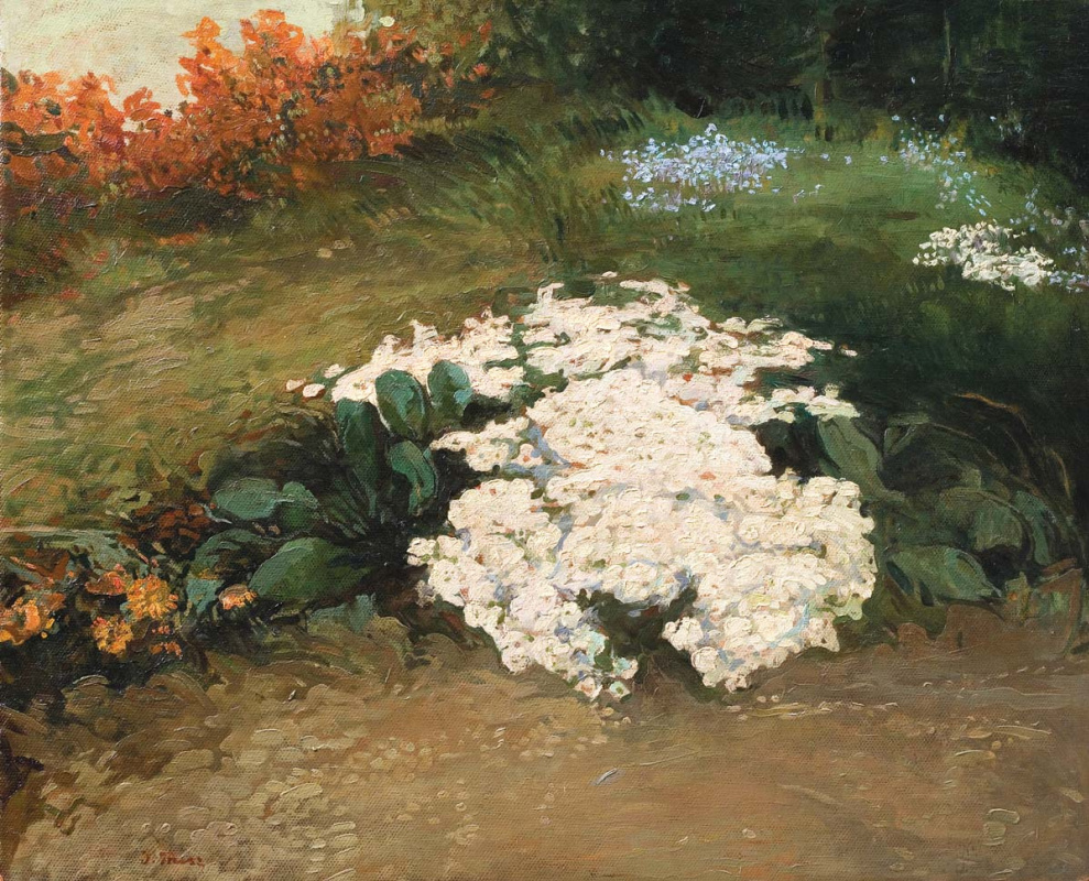 Иван Иванович Труш. Белые цветы