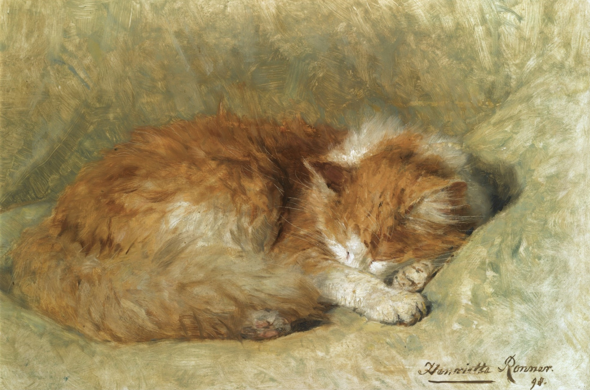 Генриетта Роннер-Книп. Спящий кот