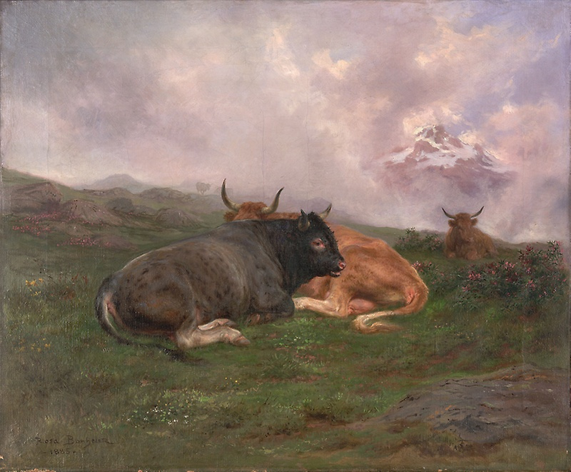 Роза Бонёр. Отдыхащие быки среди альпийских холмов