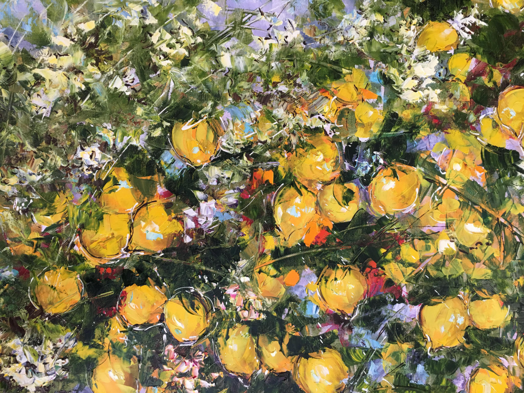 Цветущие лимонные деревья