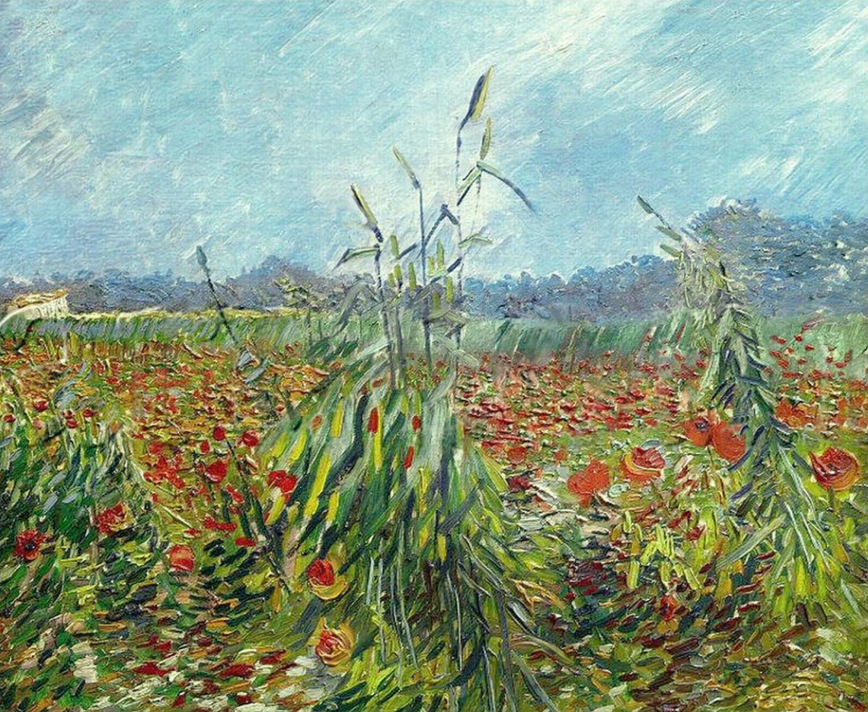 Винсент Ван Гог. Зеленые колосья пшеницы