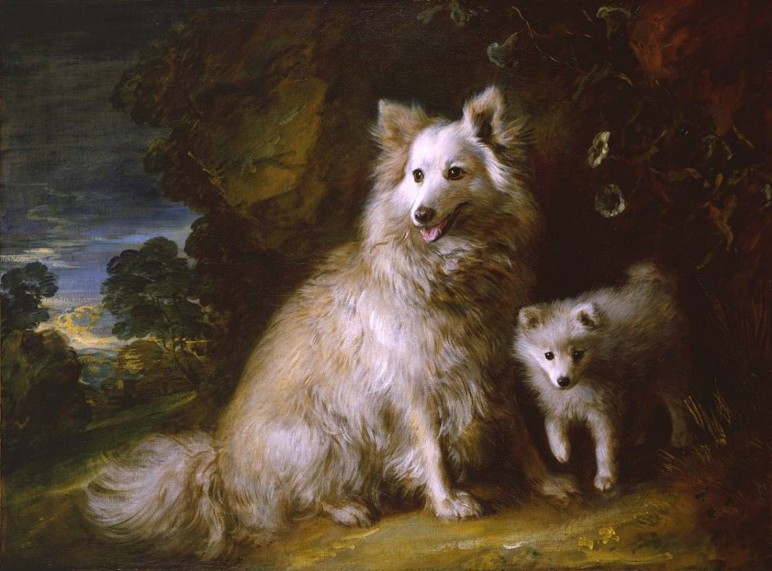 Томас Гейнсборо. Две собаки – Бич и Паппи (Померанская самка и щенок)