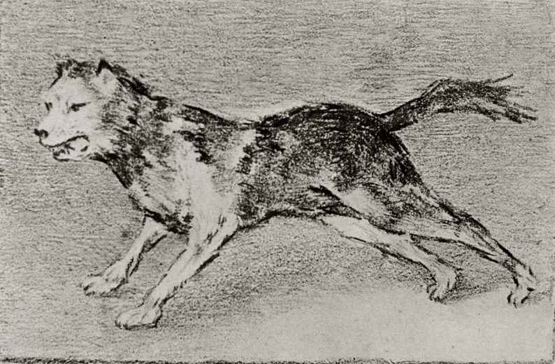 Франсиско Гойя. Лающая собака