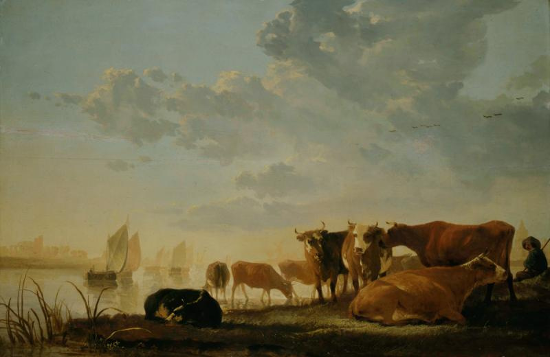 Коровы на берегу реки