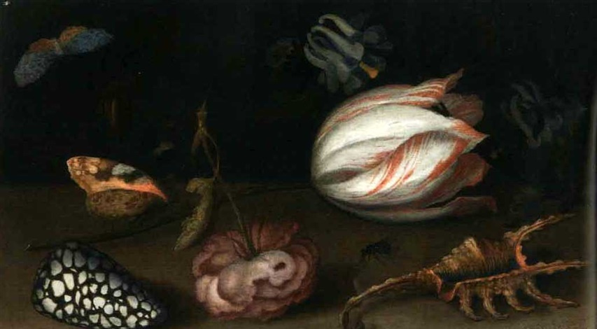 Балтазар ван дер Аст. Натюрморт с тюльпаном, розой, раковинами и бабочками