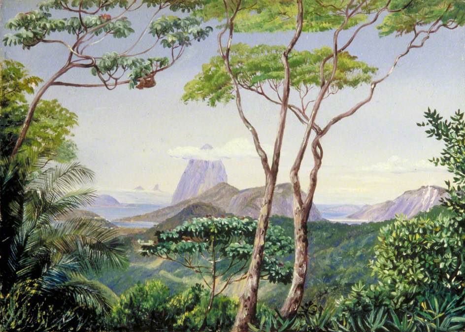 Марианна Норт. Пейзаж с видом на гору "Сахарная голова", Рио-де-Жанейро