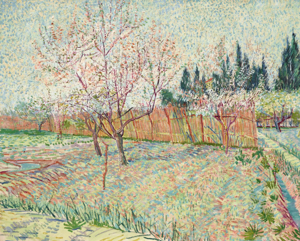 Винсент Ван Гог. Фруктовый сад с персиковыми деревьями в цвету (Сад с кипарисами)
