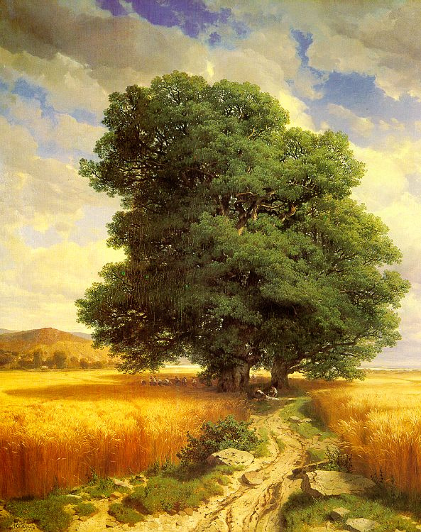 Александр Калам. Старое дерево у дороги