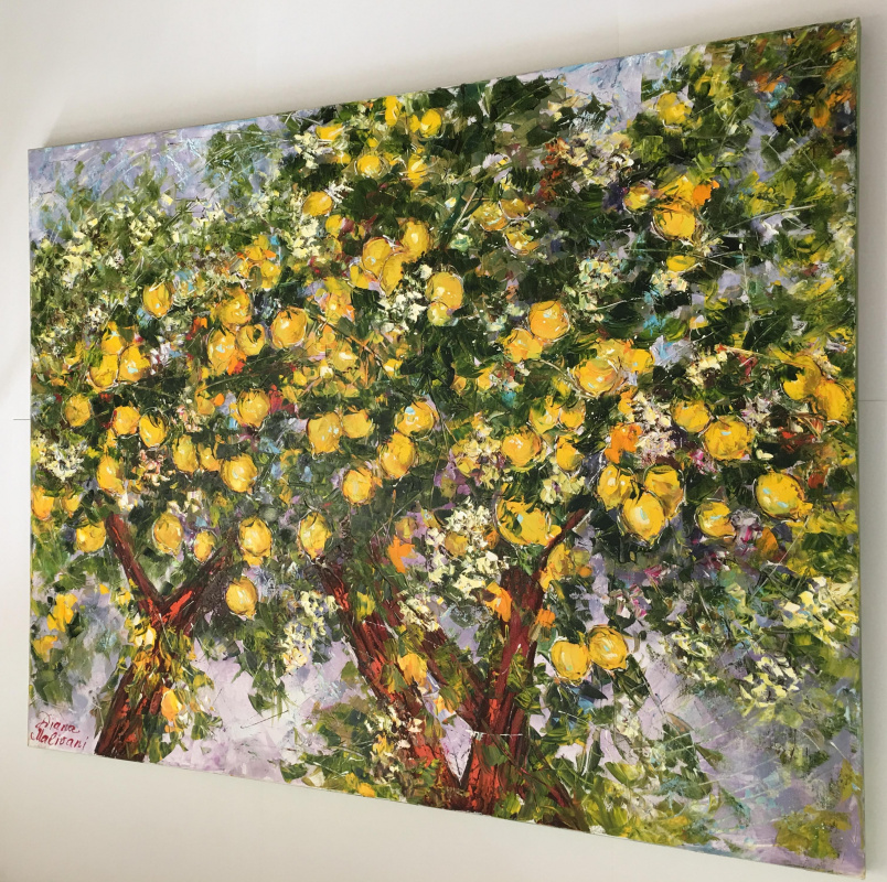 Цветущие лимонные деревья