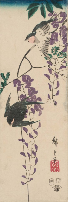 Утагава Хиросигэ. Пара ласточек и глициния. Серия "Птицы и цветы"