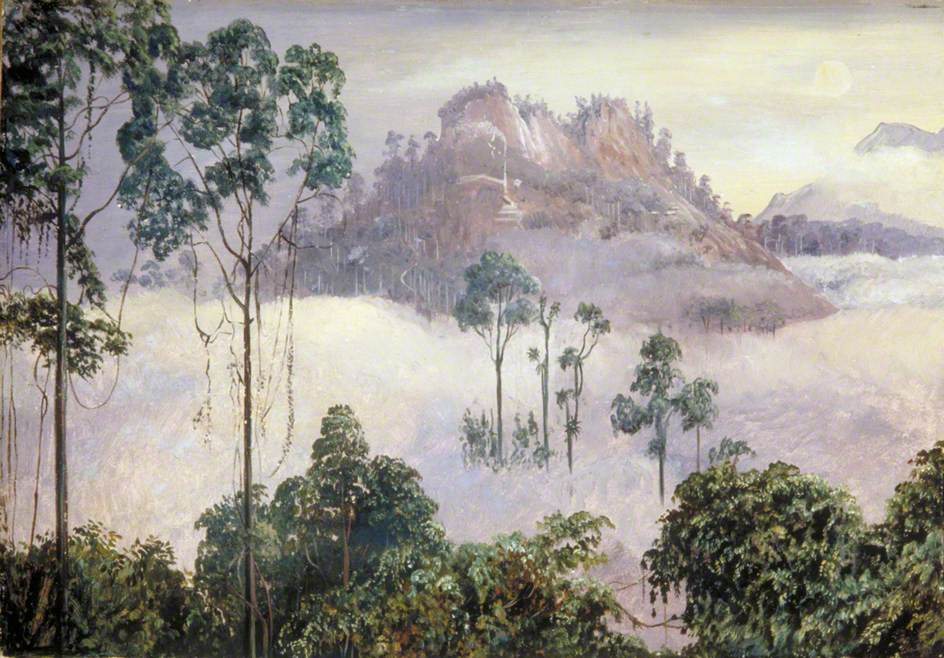 Марианна Норт. Серебристые горы в лунном свете, Саравак, Борнео
