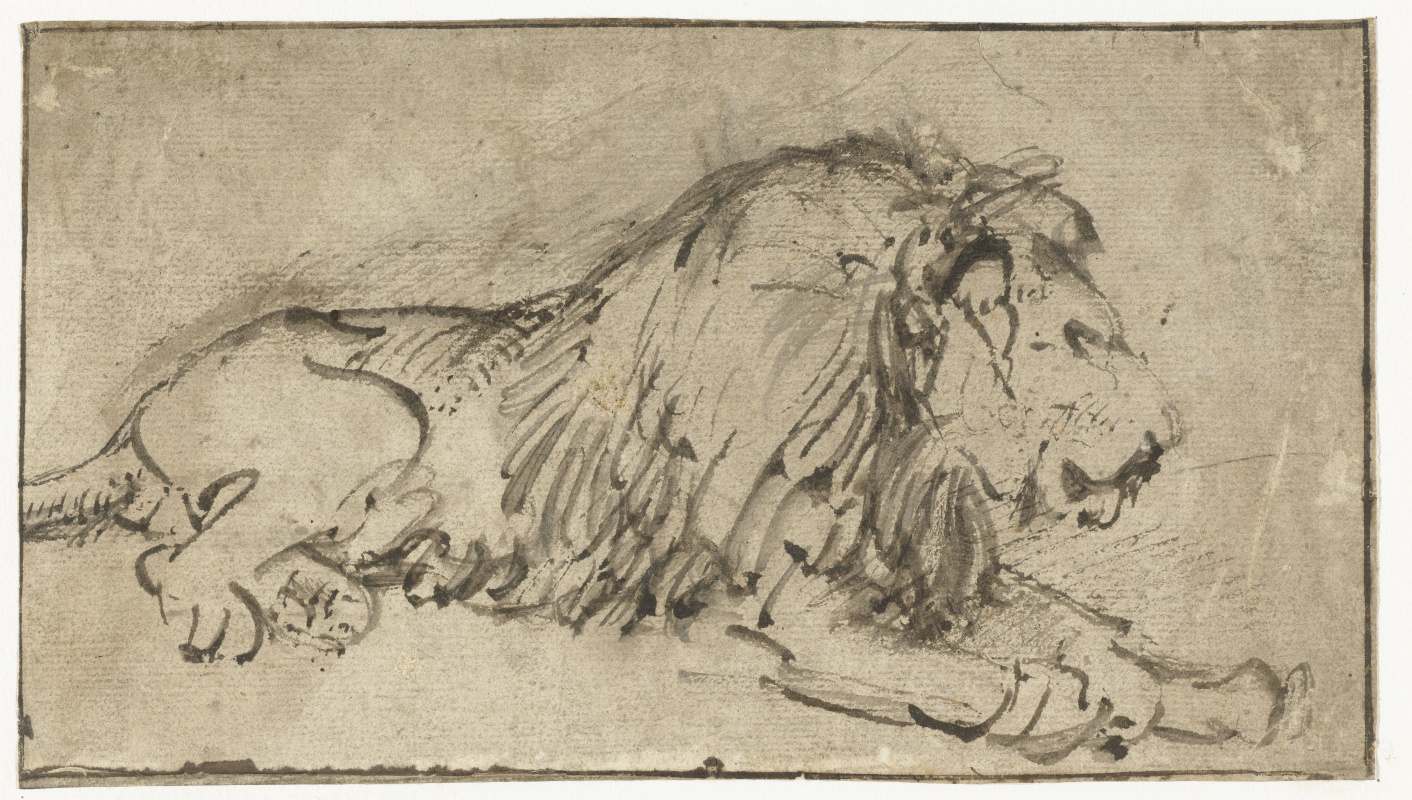 Рембрандт Харменс ван Рейн. Лежащий лев, повёрнутый вправо