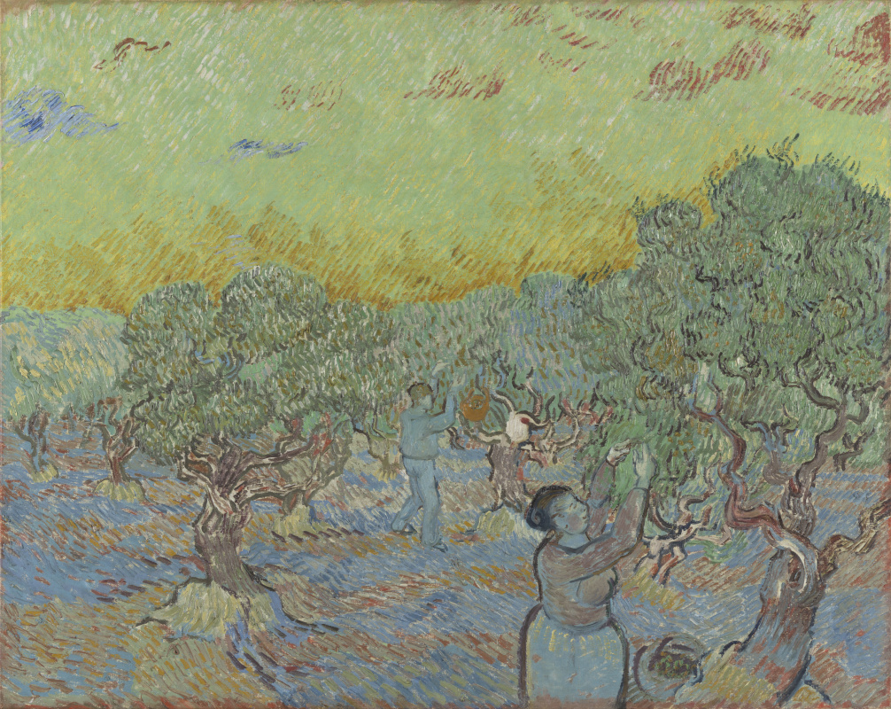 Винсент Ван Гог. Сбор урожая оливок