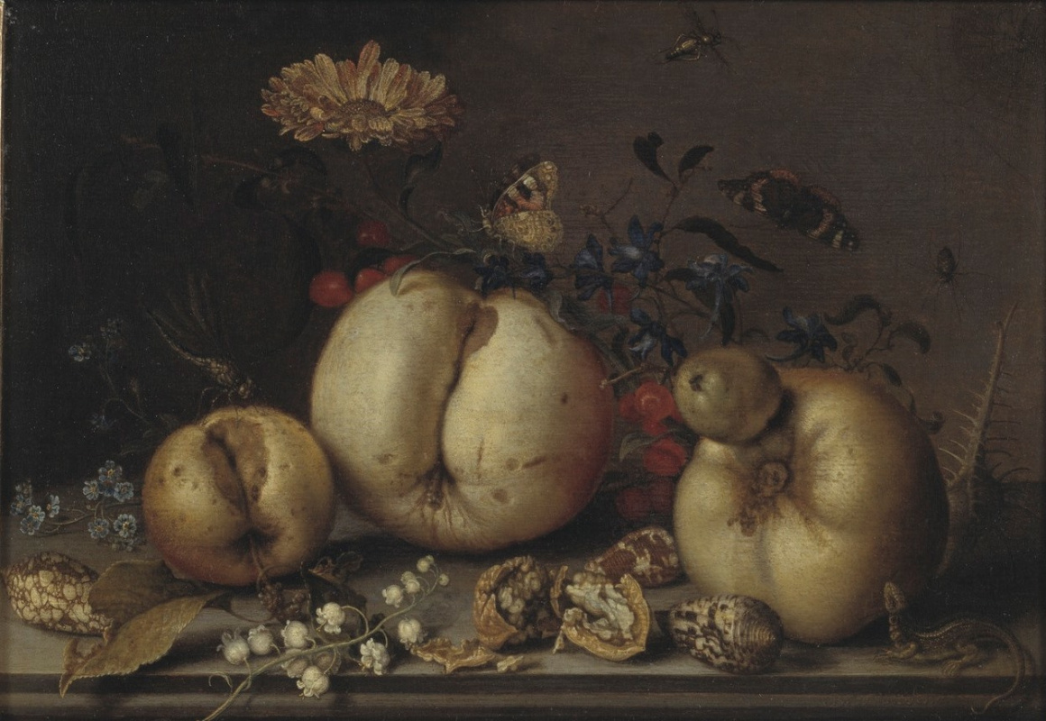 Балтазар ван дер Аст. Натюрморт с фруктами и раковинами на столе