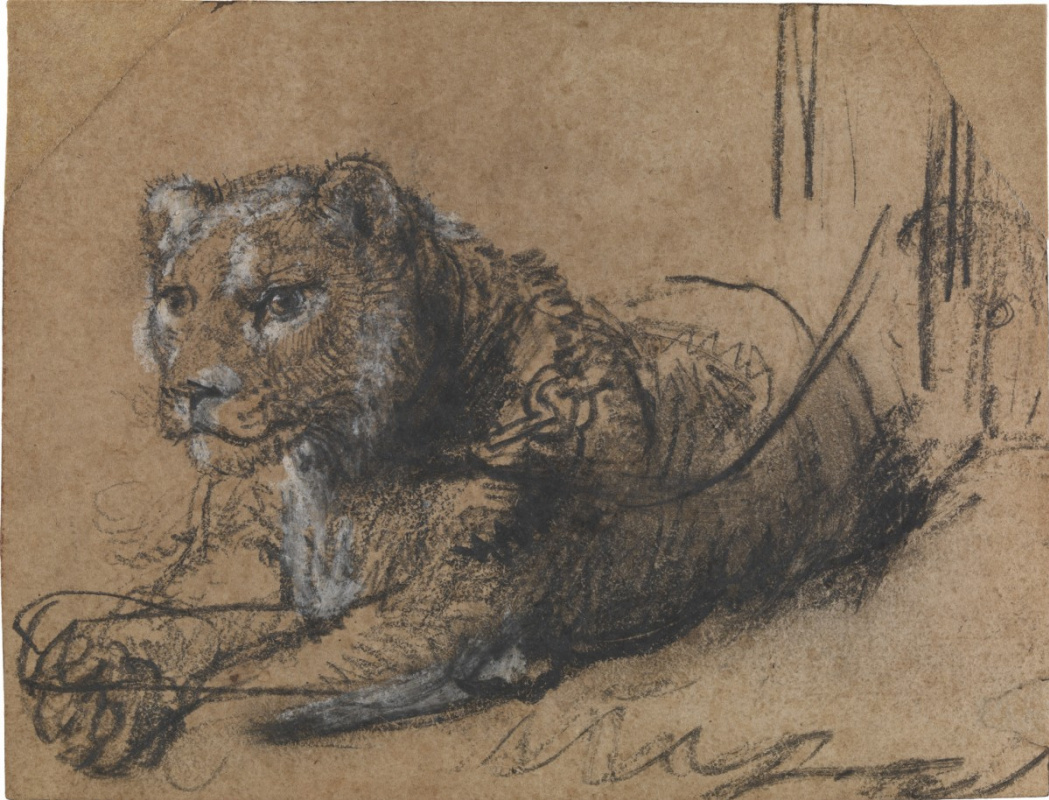Рембрандт Харменс ван Рейн. Отдыхающий молодой лев