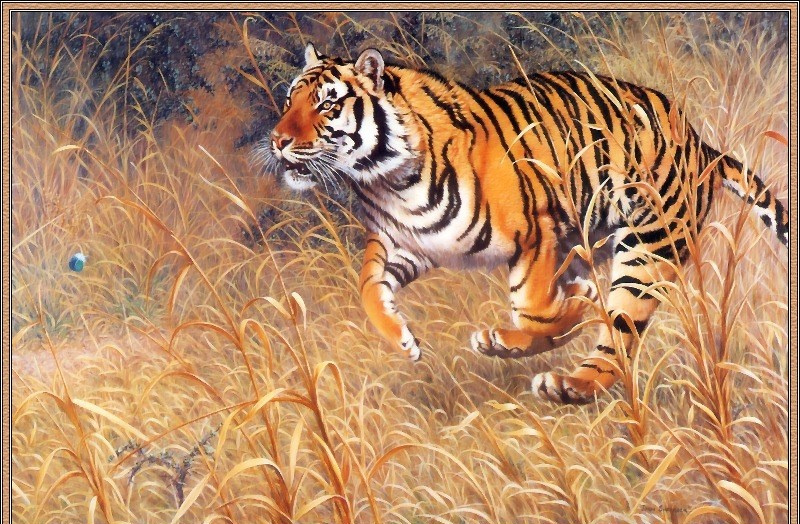 Джоан Шаррок. Бенгальский тигр и павлины. Фрагмент2