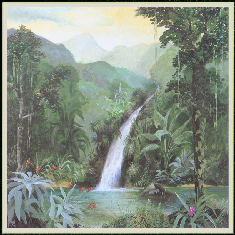 Уильям Вуд. Тропический водопад
