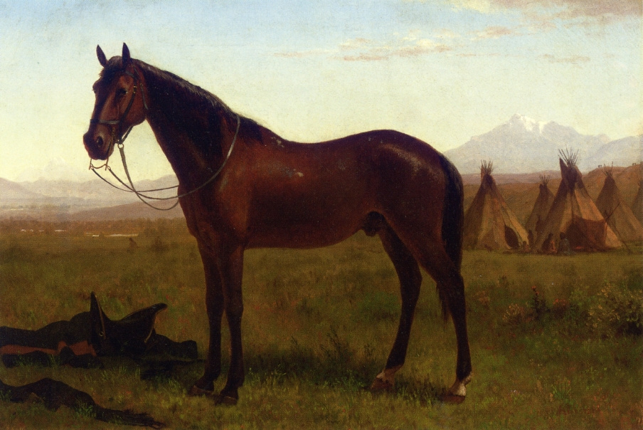 Альберт Бирштадт. Лошадь на фоне индейского поселения
