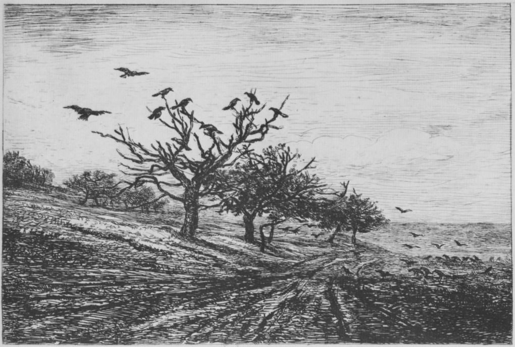Шарль-Франсуа Добиньи. Дерево с воронами